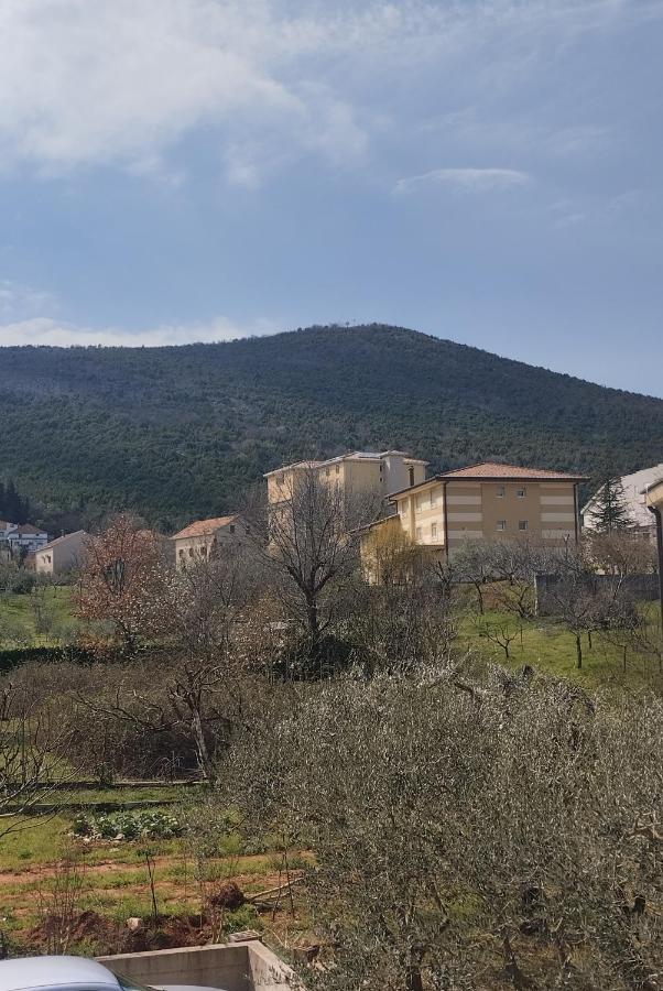 Pansion Danijel Hotel Međugorje Værelse billede