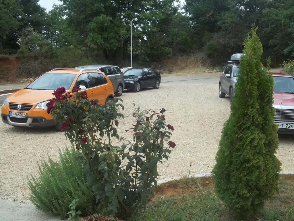 Pansion Danijel Hotel Međugorje Eksteriør billede